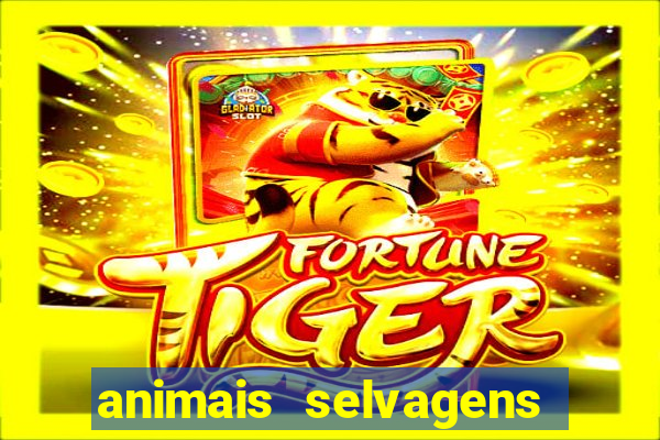 animais selvagens fotos e nomes