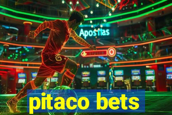 pitaco bets