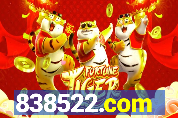 838522.com