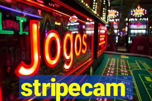 stripecam