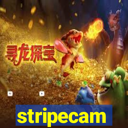 stripecam